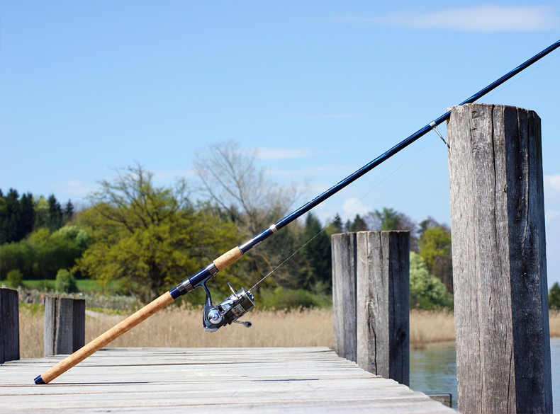 Cañas de pesca Eging