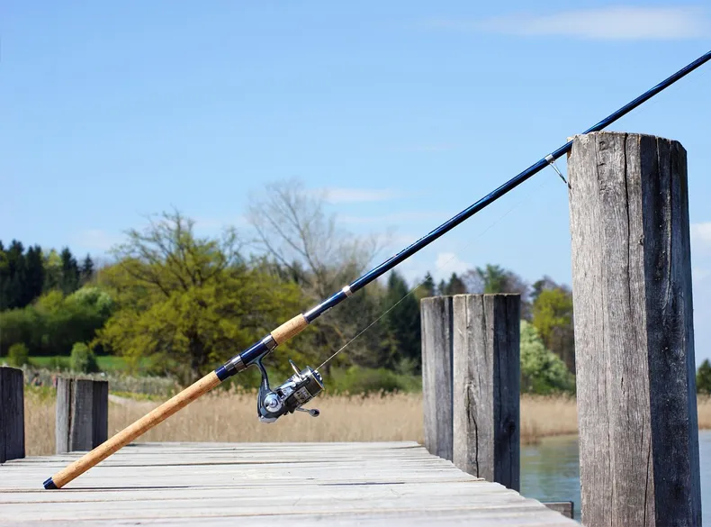 Cañas de pesca Eging baratas